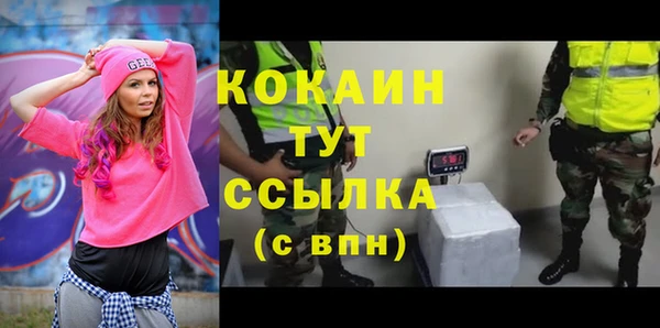 индика Калининец