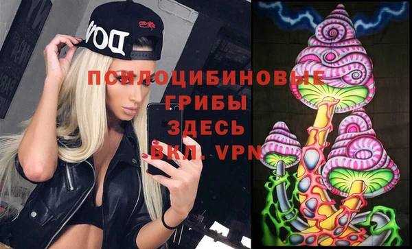 меф Приозерск