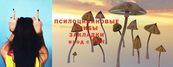 MDMA Белокуриха