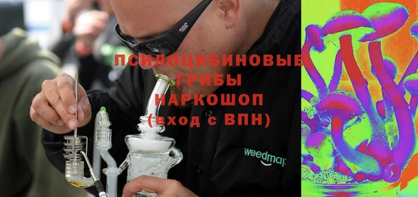 мдпв Фёдоровский