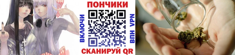 mega как войти  где купить   Шилка  Бошки марихуана семена 